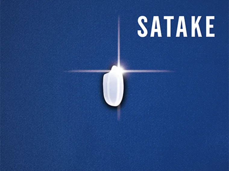 SATAKE